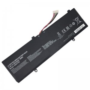 Gigabyte GAS-F20 Battery Gigabyte S1185 Laptop Battery